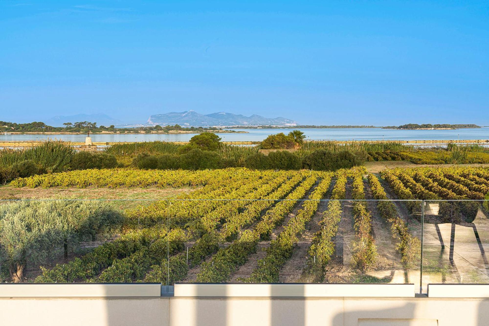Martina'S Vineyard - Villa Марсала Екстер'єр фото